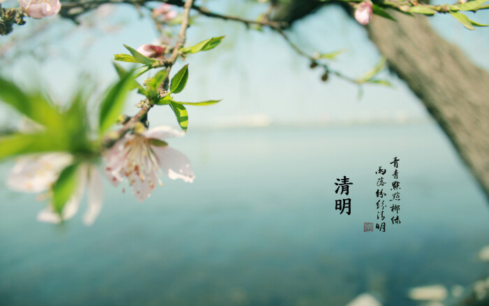 2016年清明节风景电脑壁纸