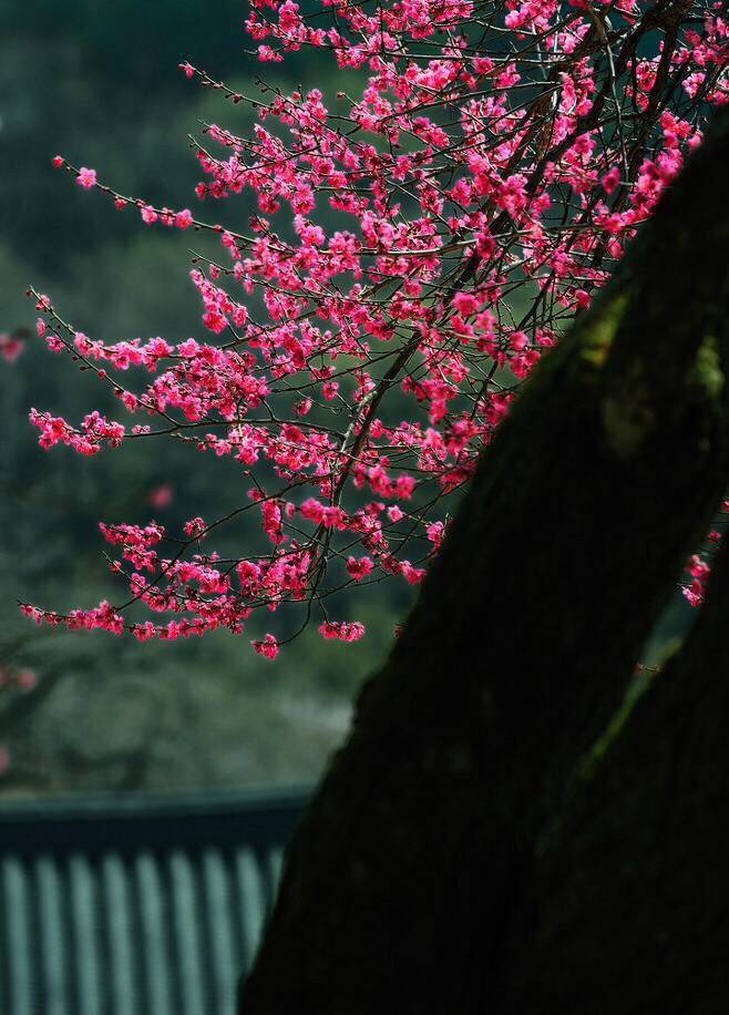 此去经年,应是良辰美景虚设.便纵有千种风情,更与何人说.