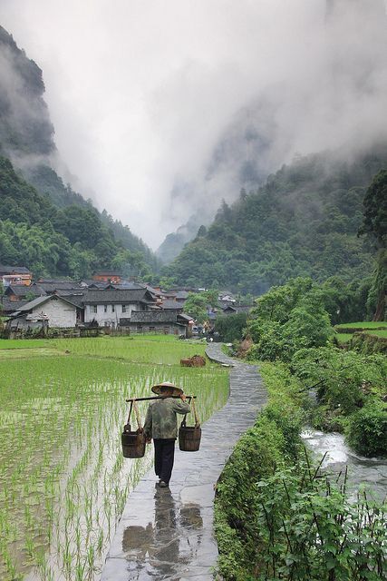 伴随着春雨,富春江和富春山散发着浓浓的禅意,十足的中国画风,令你