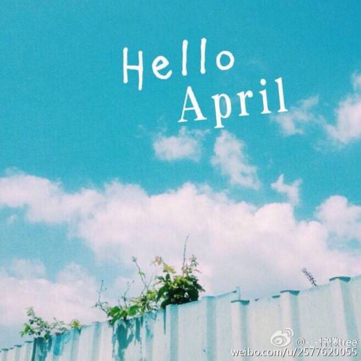 hello april