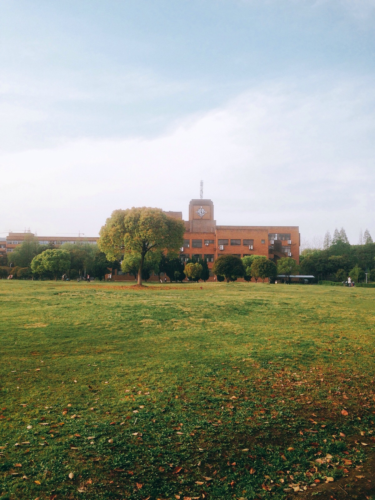 宁波大学〕图书馆和大草坪 今天特美