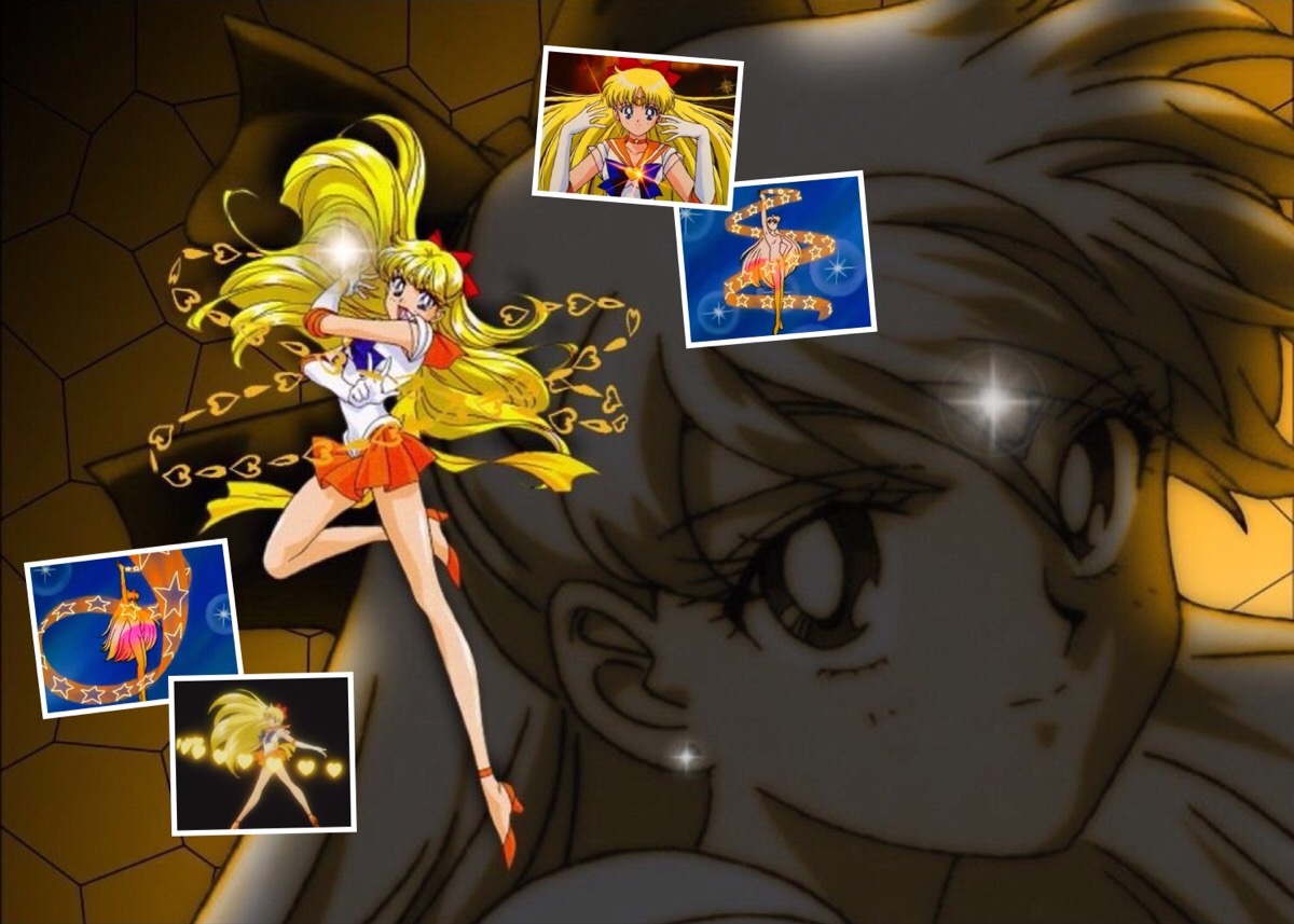 美少女战士 爱野美奈子 sailor venus