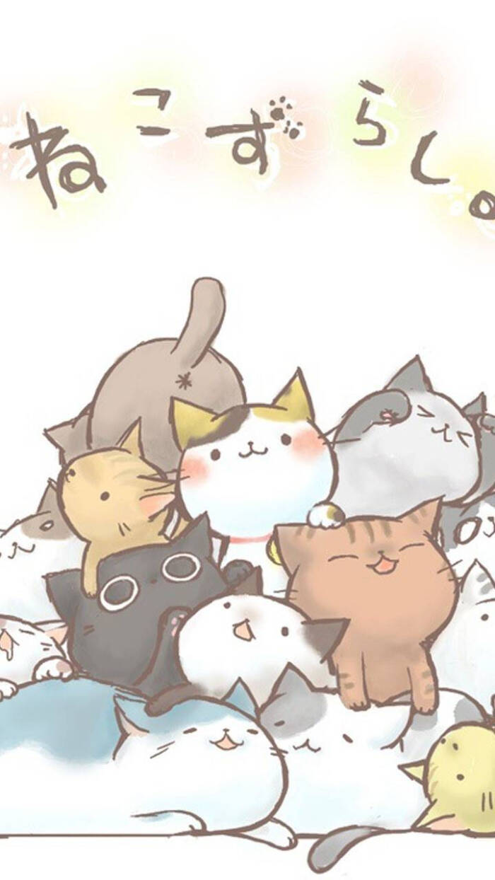 猫咪壁纸萌萌哒,喵