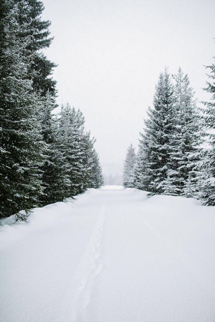 雪景 壁纸