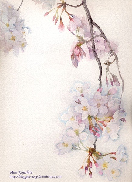水彩,樱花,小清新,壁纸,插画