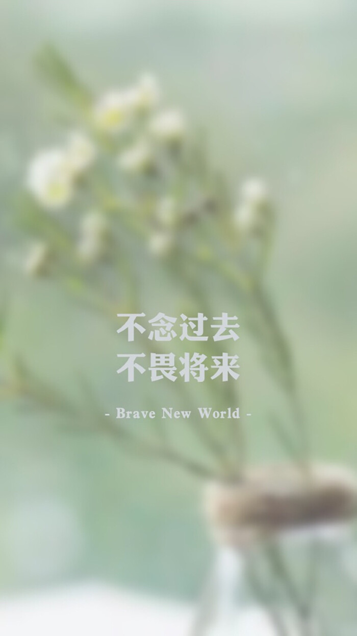 文字壁纸 不念过去 不畏将来