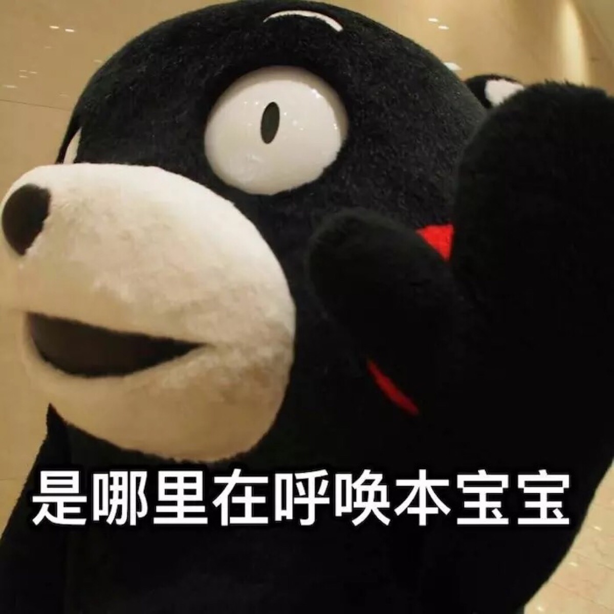 熊本熊表情包