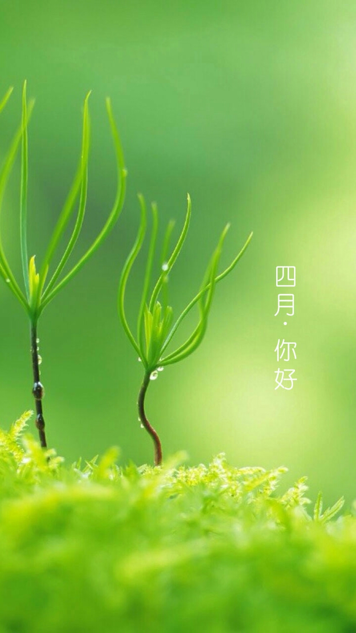 你好四月