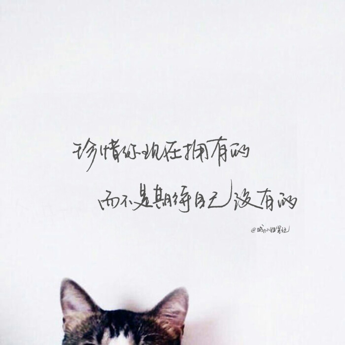 珍惜你现在拥有的