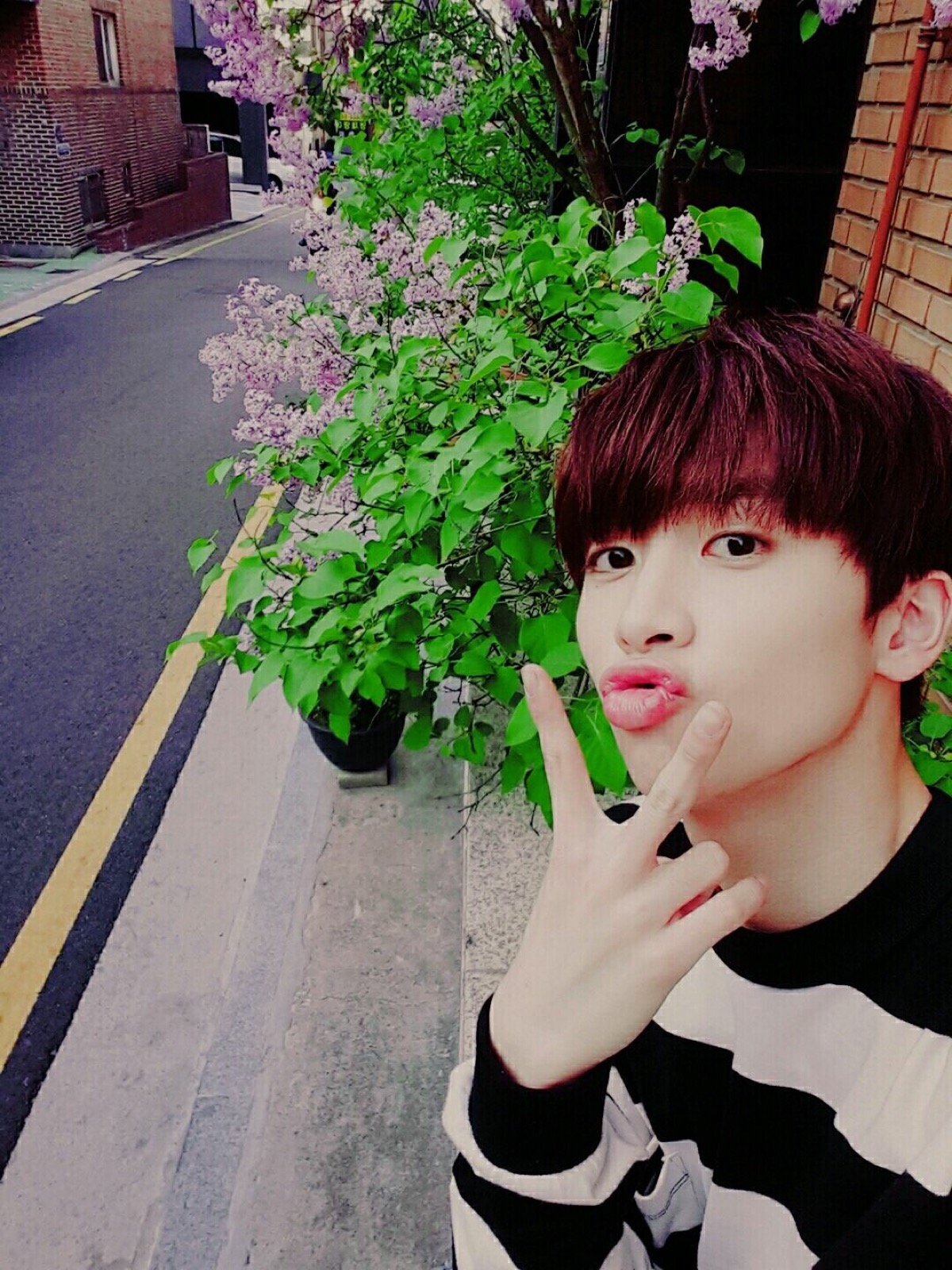 up10tion 225719 1327 晓悟 xiao 339