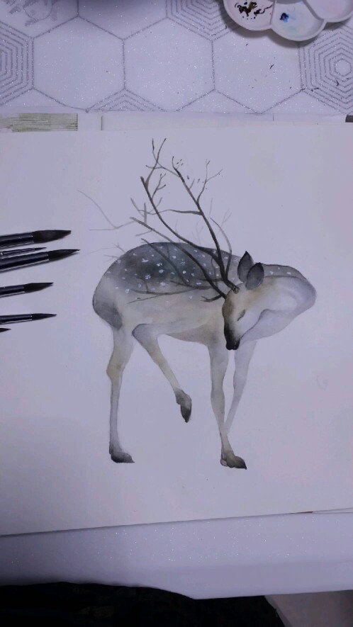 梅花鹿 
