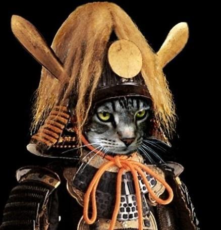 猫 猫咪 喵喵 喵星人 手绘 和风 日本 东瀛 个性的喵星人 猫和武士