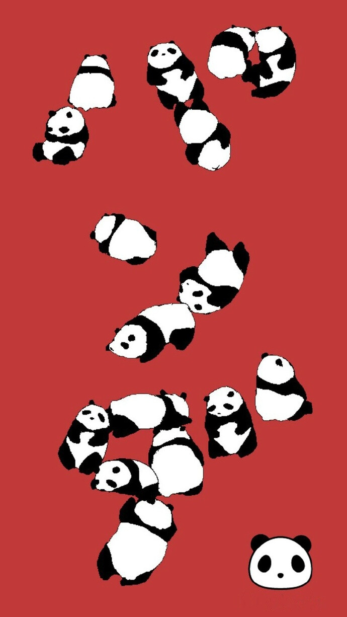 熊猫panda壁纸 微博@instagram达人