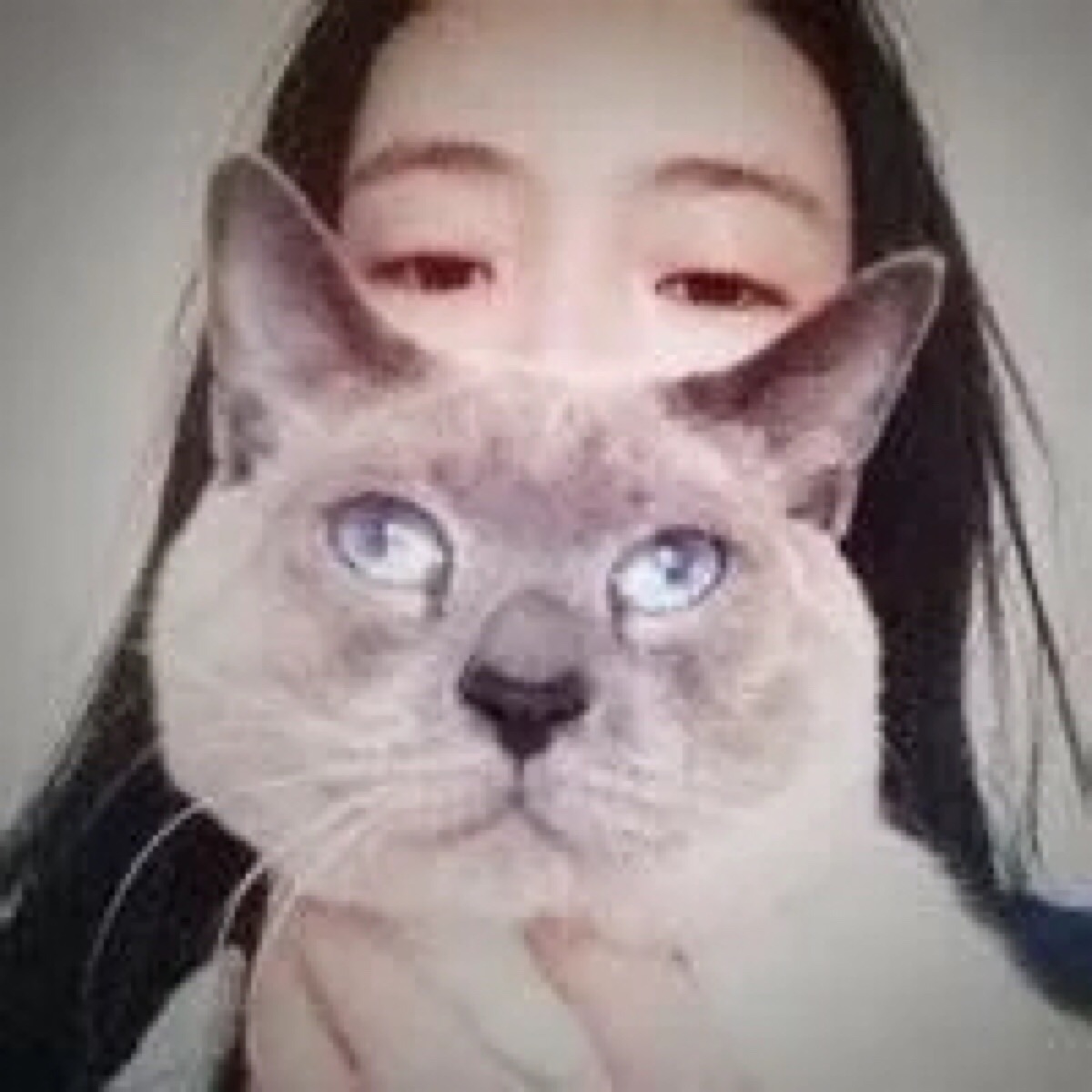 【女生和猫的头像】治愈系头像 萌猫和森系妹子# 简直大爱:-)