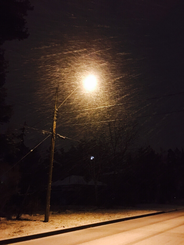 多伦多下雪的晚上.