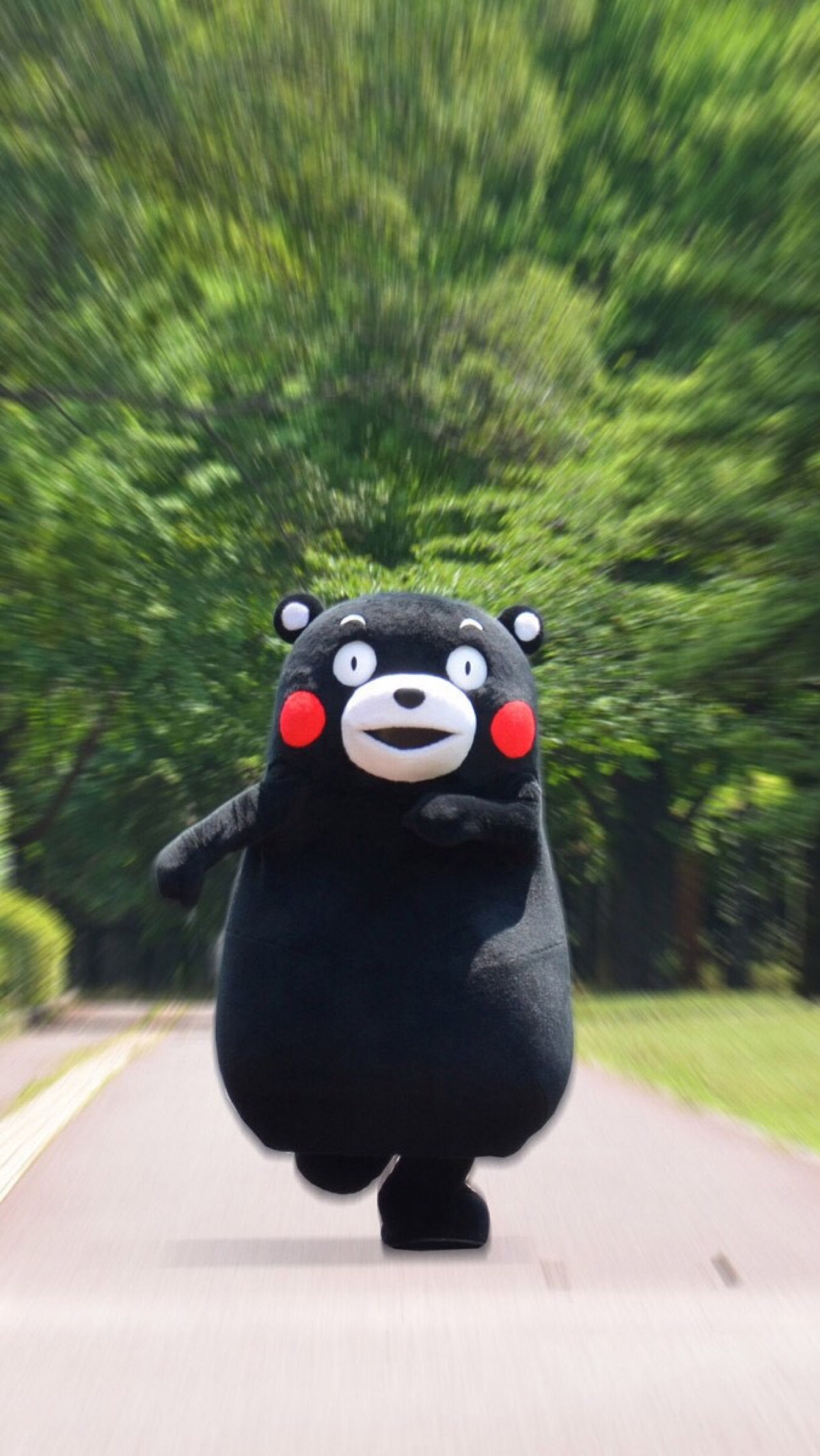 kumamon 熊本熊