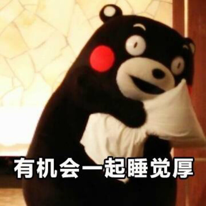 熊本熊表情包