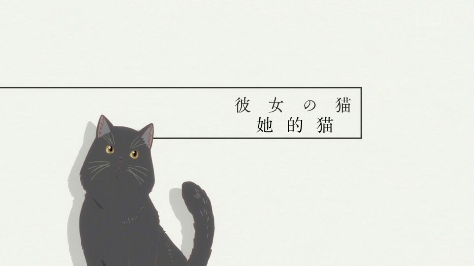 她与她的猫