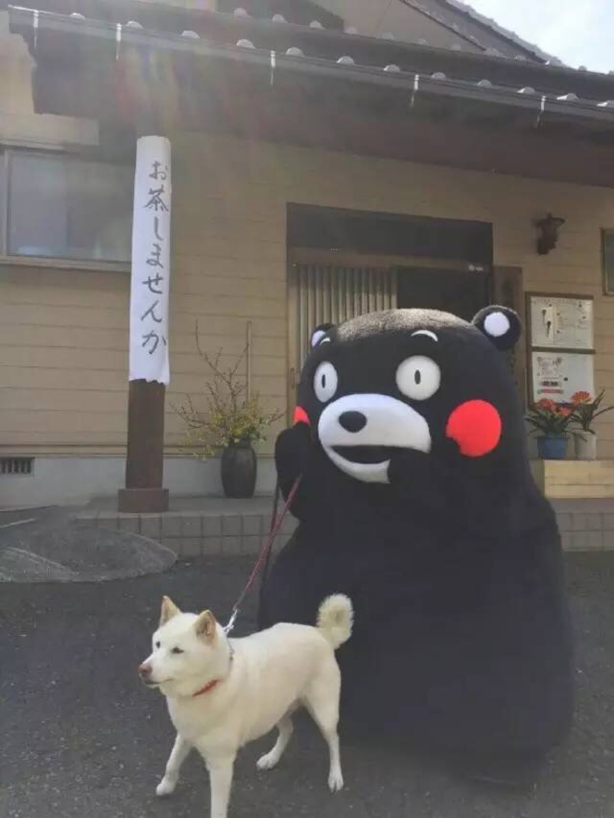 熊本熊