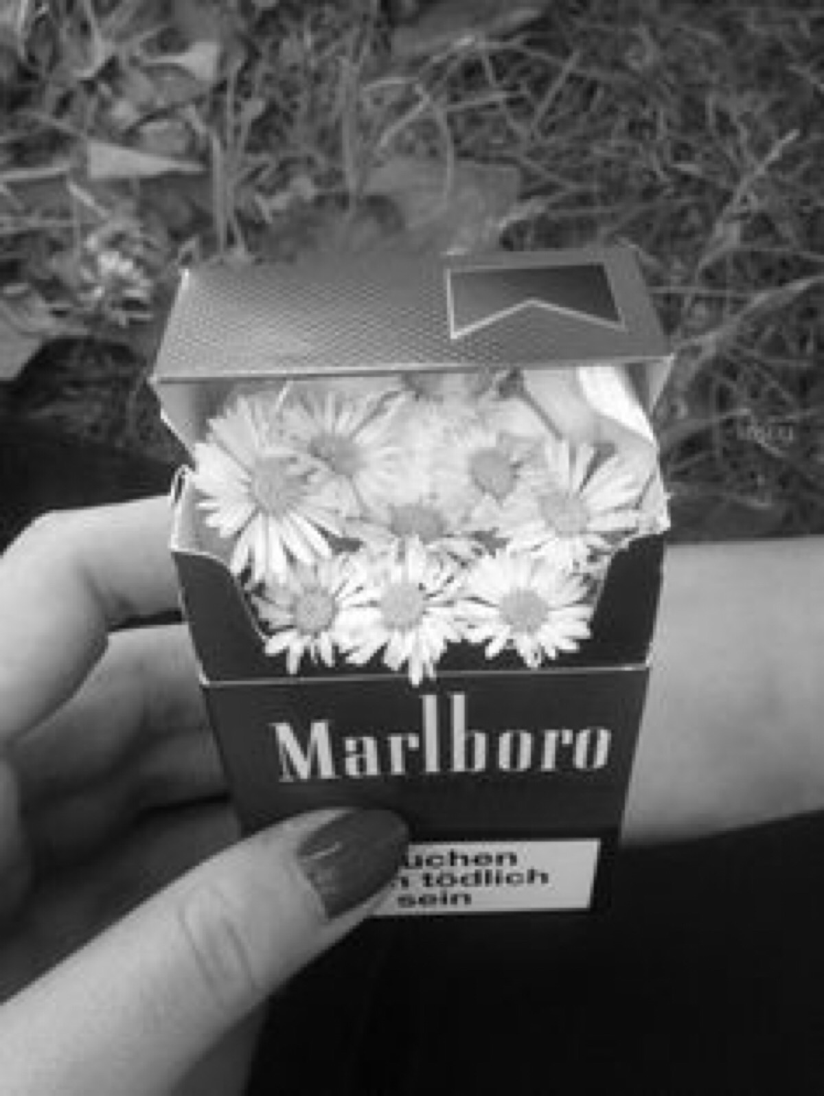 marlboro