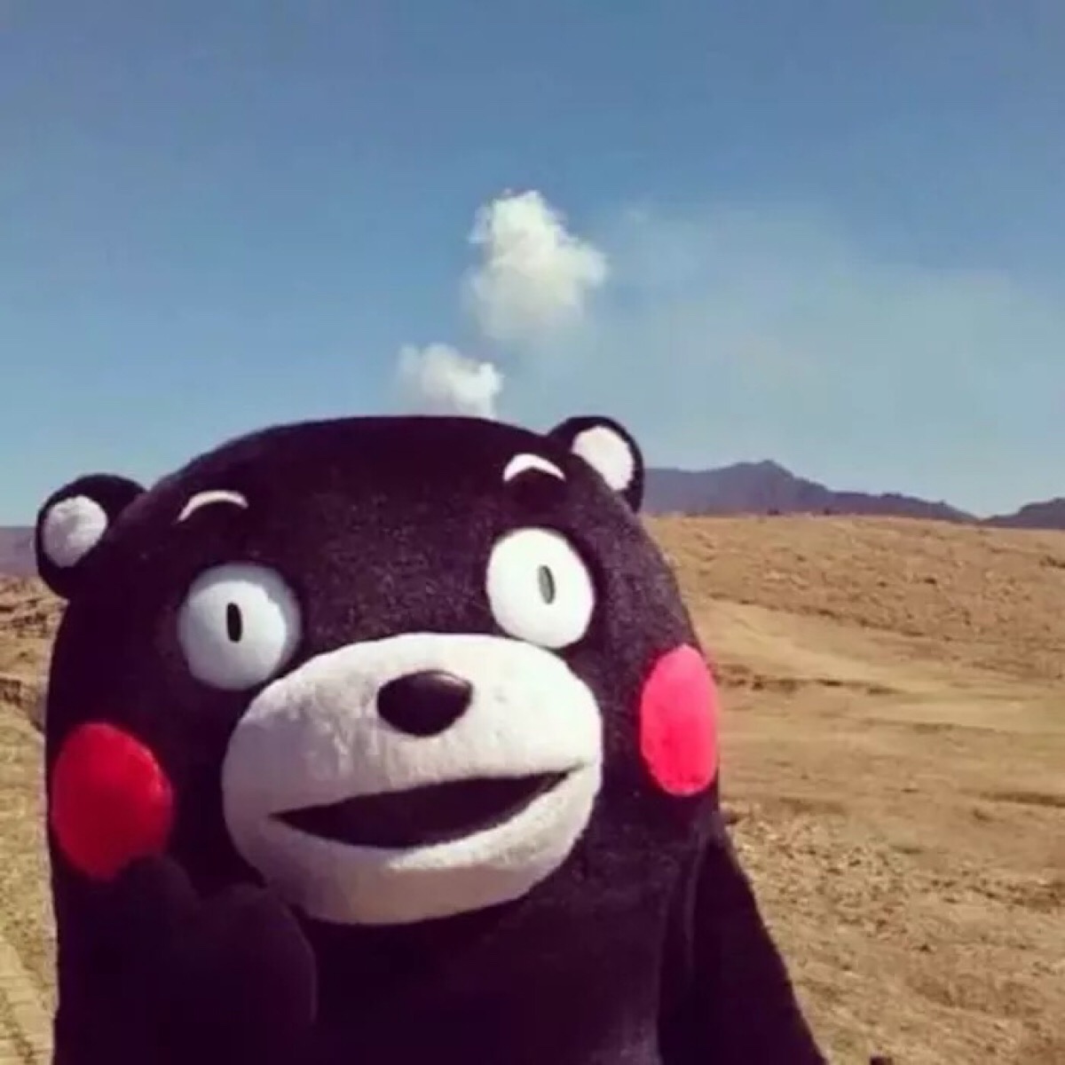 一脸懵逼头像
