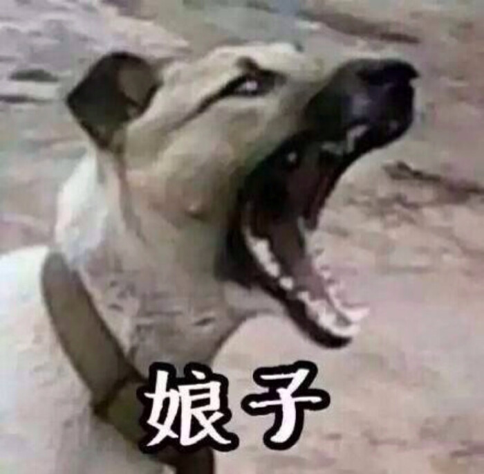 搞笑情侣头像