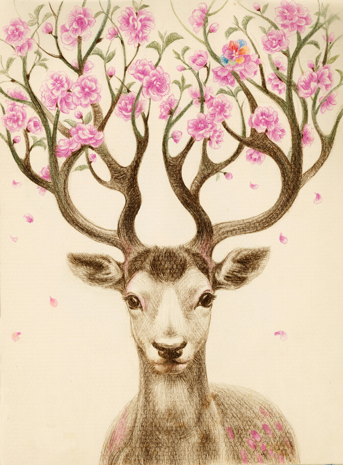 麋鹿与花 手绘风 壁纸 唯美