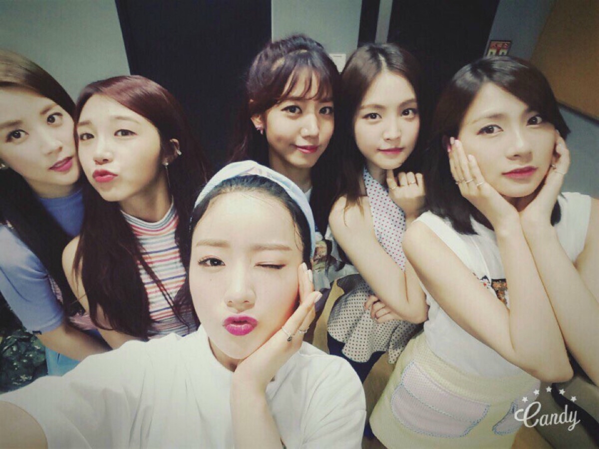 apink 