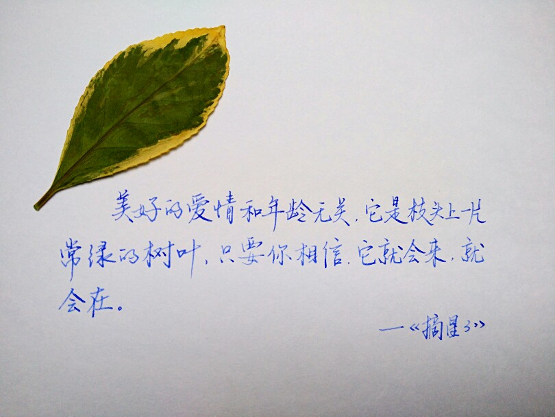 有没有无关爱情且有意义好听的歌