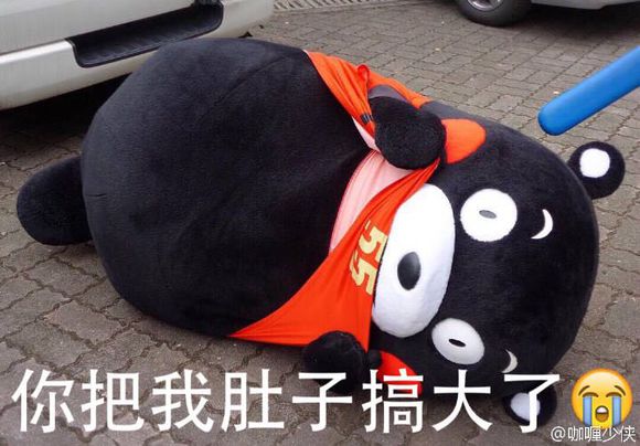 你把我肚子搞大了 熊本熊 表情包 by万能小仙女i