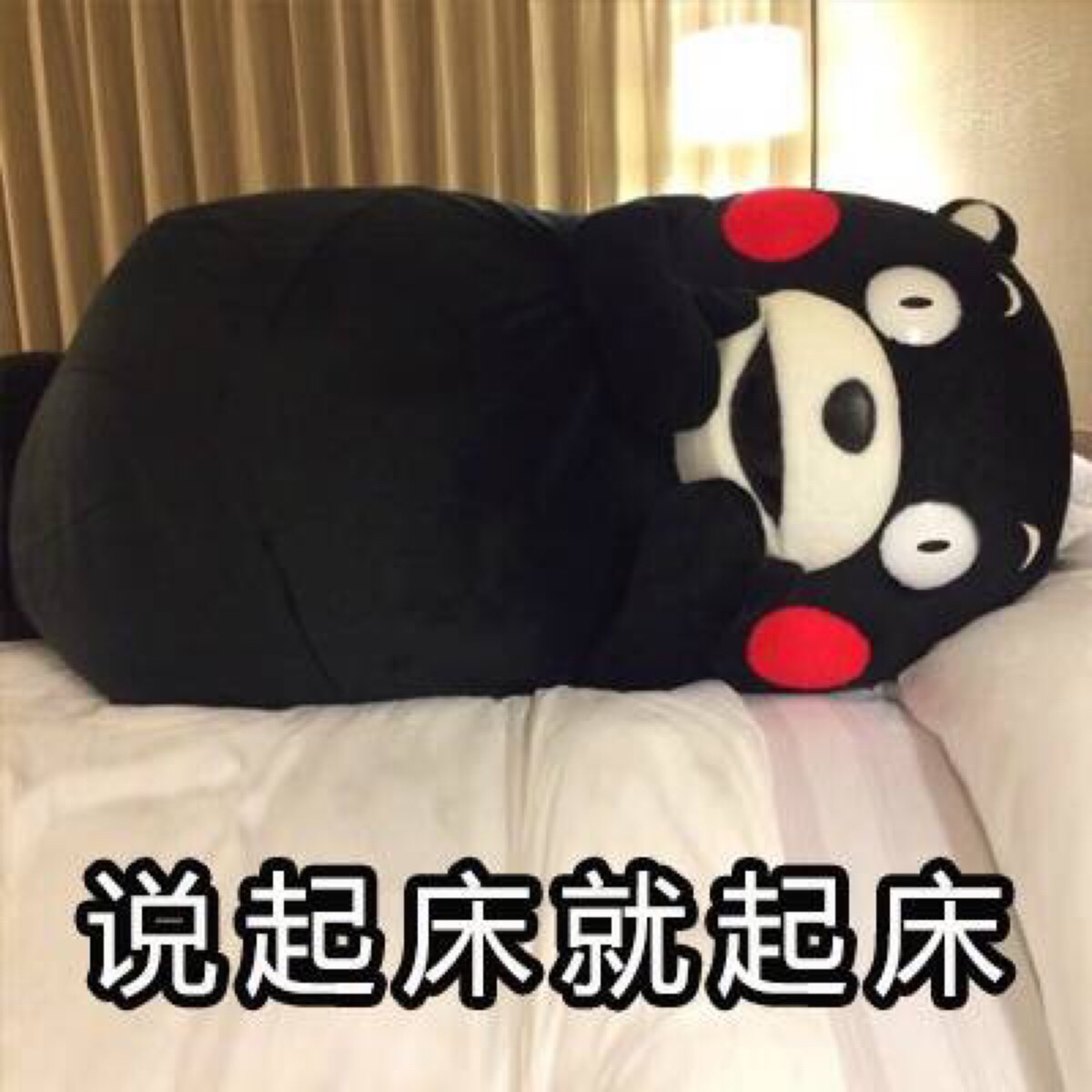 熊本熊表情包