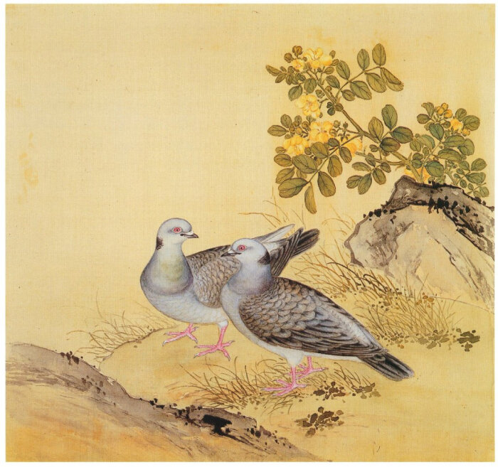苏鸟什么成语_成语故事图片(3)