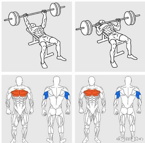 9个健身动作训练肌肉示意图,每个动作锻炼的部位已经标出,橘色为重点