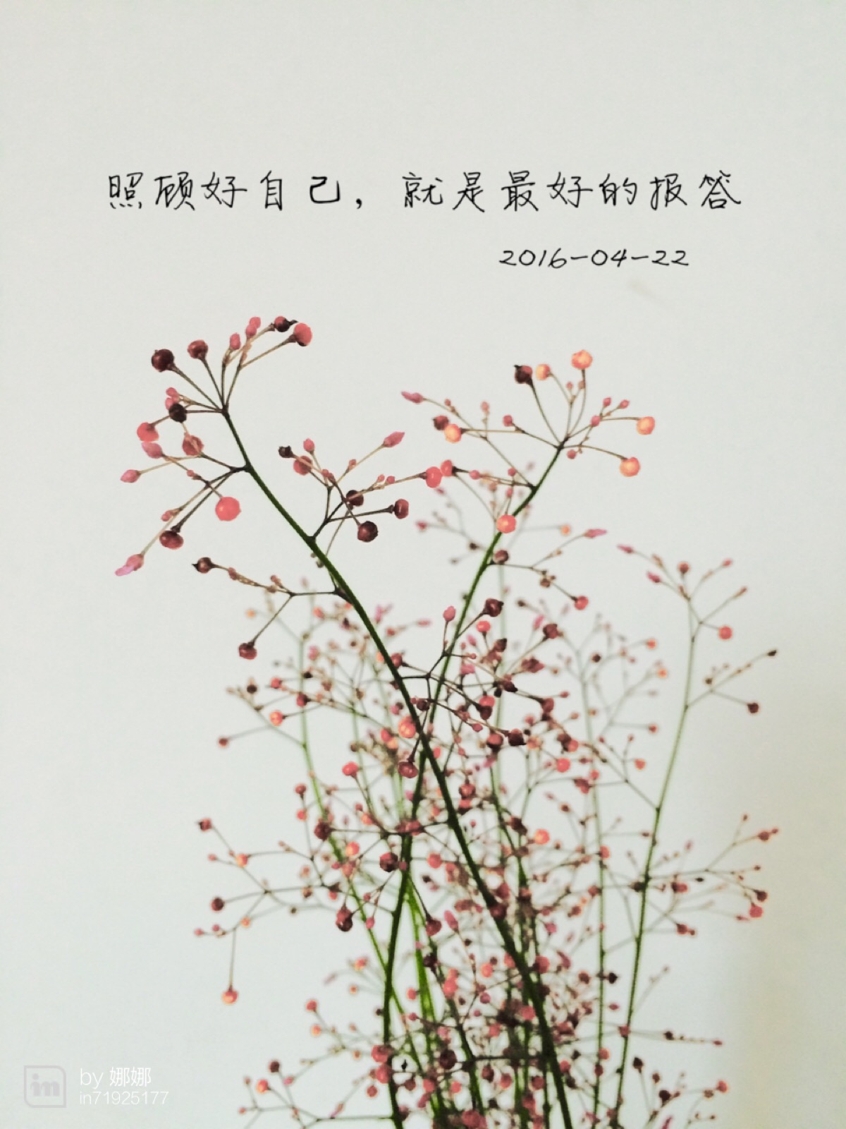 愿你安好-堆糖,美好生活研究所