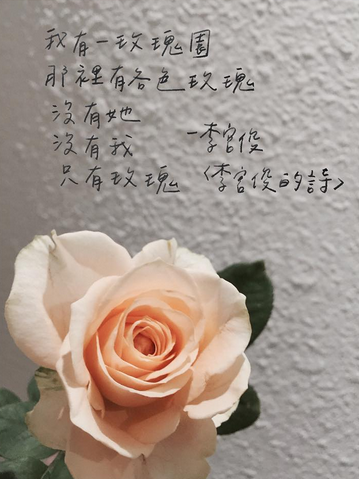 李宫俊的诗(我有一玫瑰园,那里有各色玫瑰,没有她,没有我,只有玫瑰.