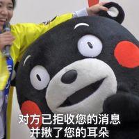 【熊本熊系列】对方已拒收您的消息 并揪了您的耳朵