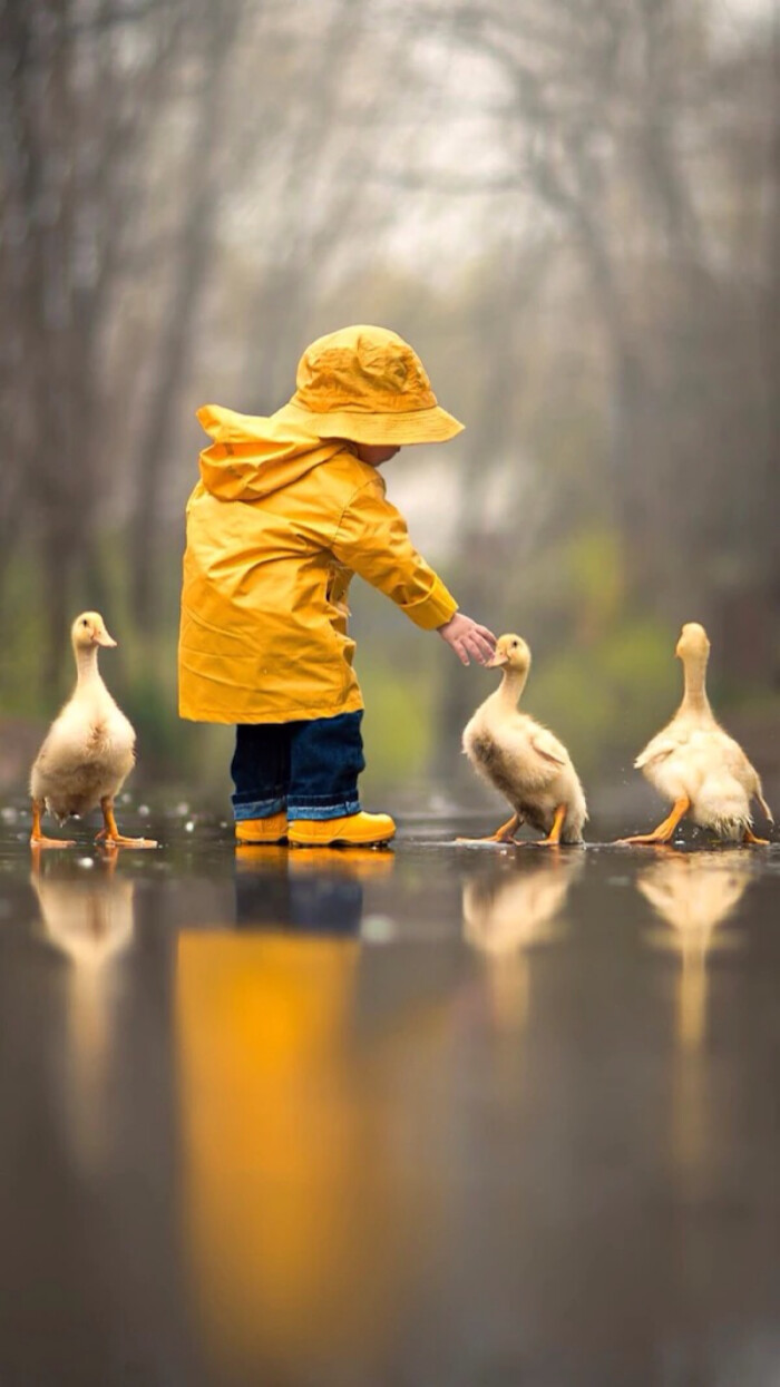 雨中情 