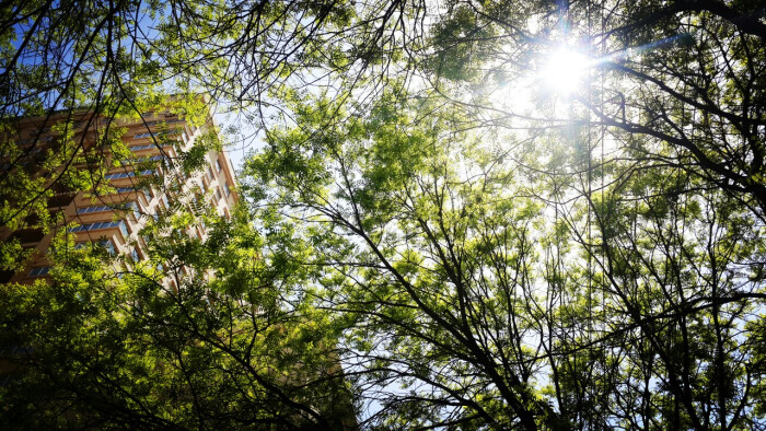 初夏的午后随手拍 美图 风景 原创 摄影 壁纸 喜欢的话要收藏我哦