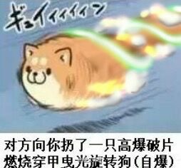 表情包扔狗