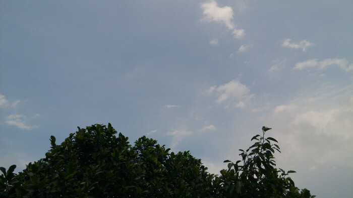 雨后天晴~凉爽的风,清新的空气