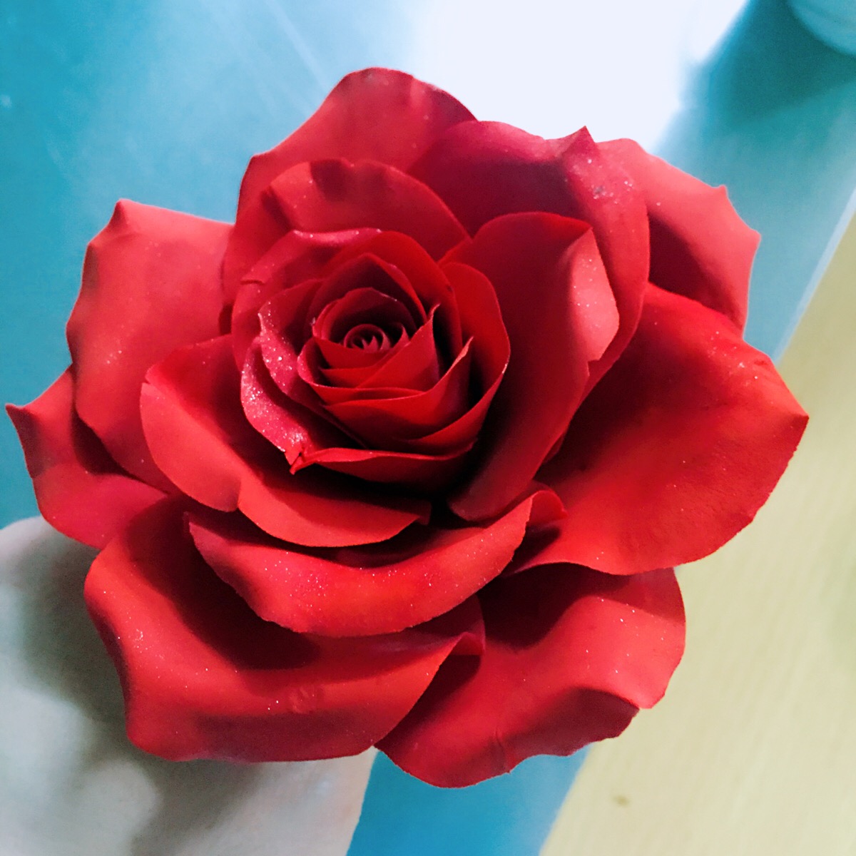 red rose