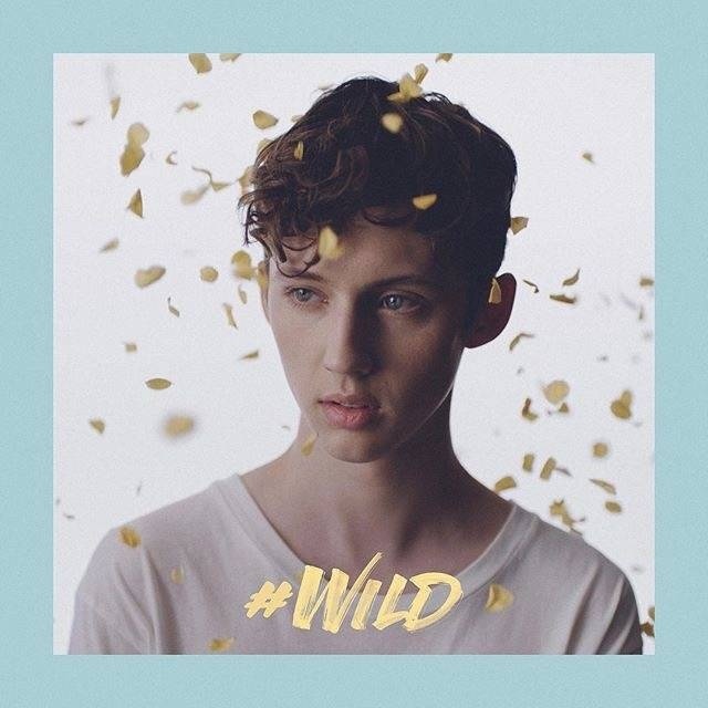 troye sivan