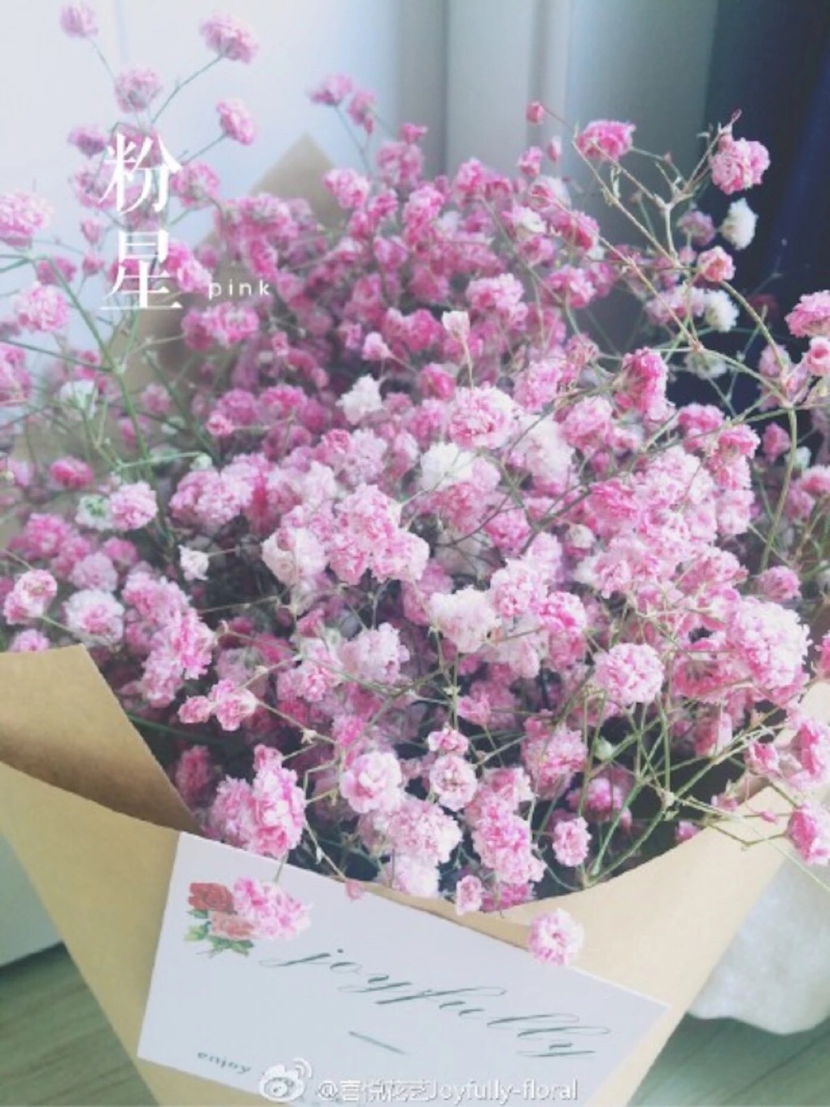 满天星(gypsophila),原名为重瓣丝石竹,石竹科丝石竹属.