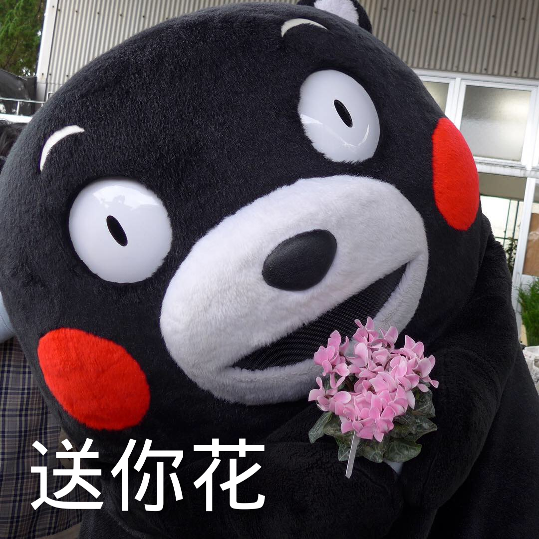 【熊本熊系列】送你花