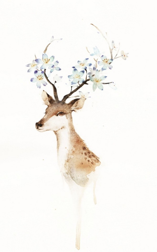 水彩插画,鹿