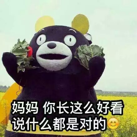 【熊本熊系列】妈妈 你长这么好看 说什么都是对的