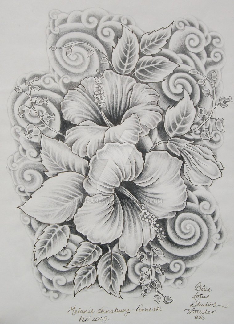 tattoo design 纹身手稿 设计图 手绘 玫瑰 花朵 山茶花 黑白 素描