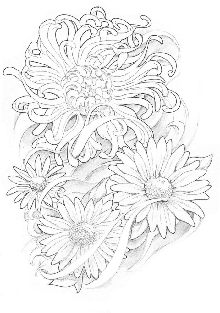 tattoo design 纹身手稿 设计图 手绘 线稿 白描 线描 菊花 花朵 雏菊