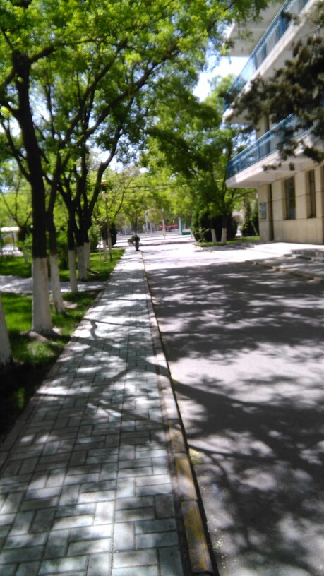校园一角