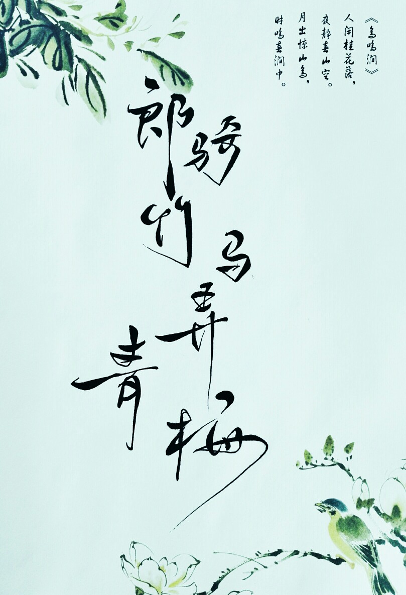 菊花体 